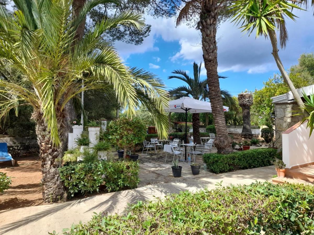 Hostal Residencia Alma Port de Alcudia  Exterior photo